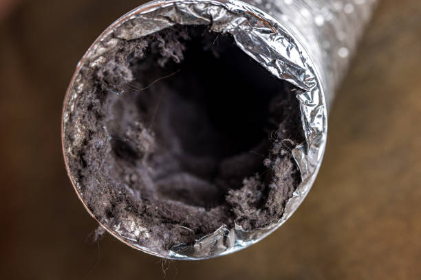 Best Residential Air Duct Cleaning  in Dunn, NC